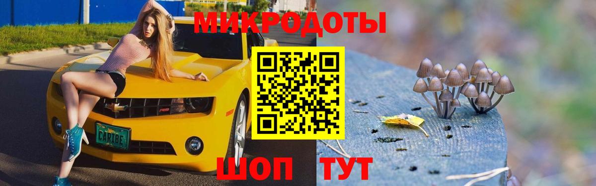Псилоцибиновые грибы Magic Shrooms Можга
